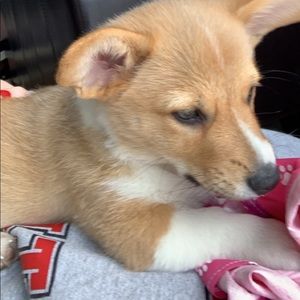 Meet your Posher, Anna-marie